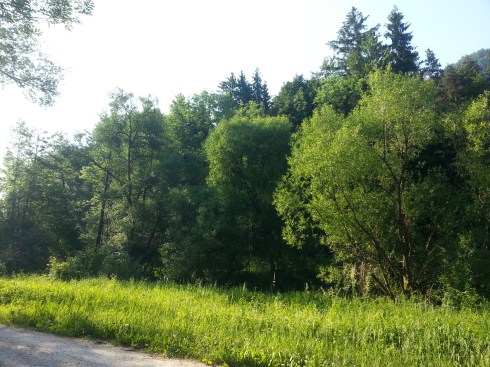 IMG_20170531_201440_721