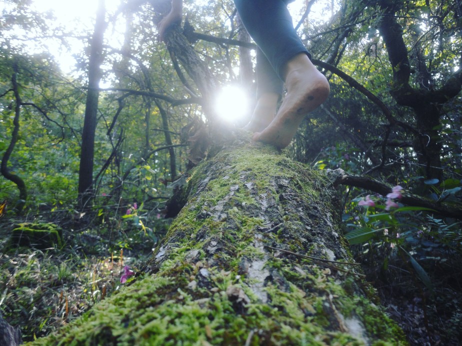 IMG_20170923_134752_452