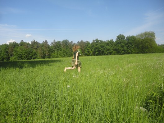 IMG_20180507_191331_879