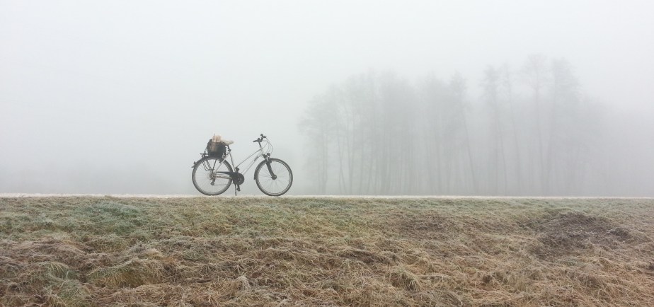Nachhaltigkeit: 1 Jahr ohne eigenes&nbsp;Auto