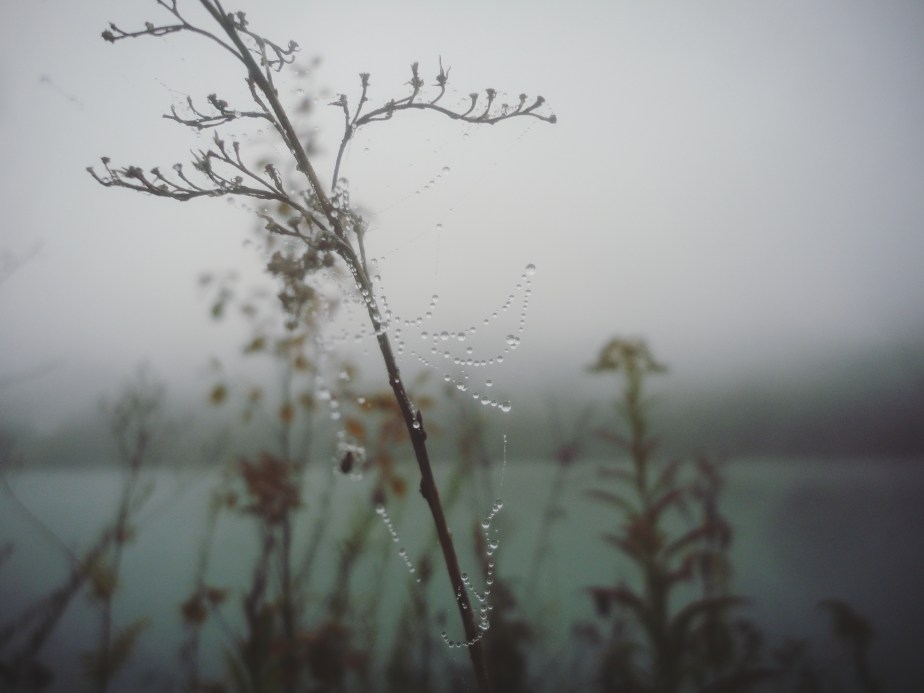 IMG_20181005_202634_277