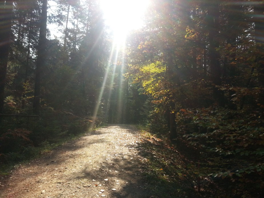 WildfrauenFREItag – geduldig&nbsp;sein…