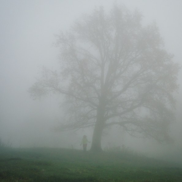 IMG_20181123_084058_188