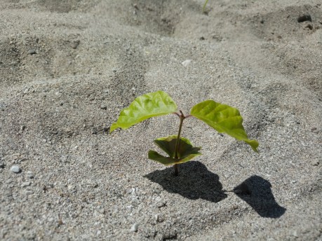 IMG_20190523_113043_6