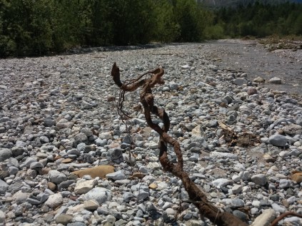 IMG_20190523_113112_9