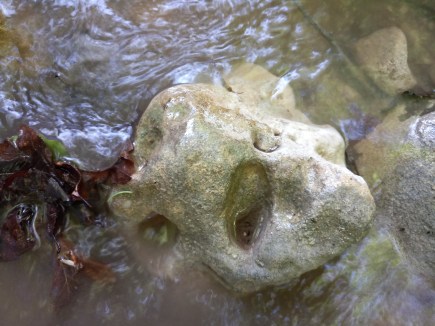 IMG_20190606_141222_3