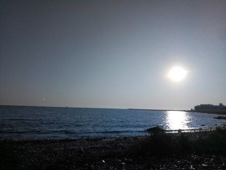 IMG_20190825_073331_2