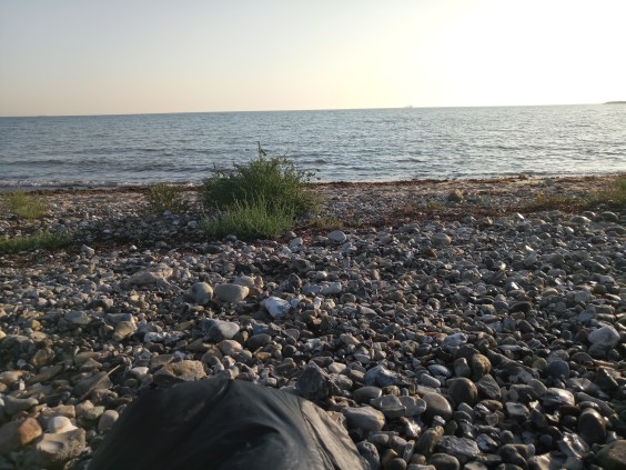 IMG_20190825_073340_6