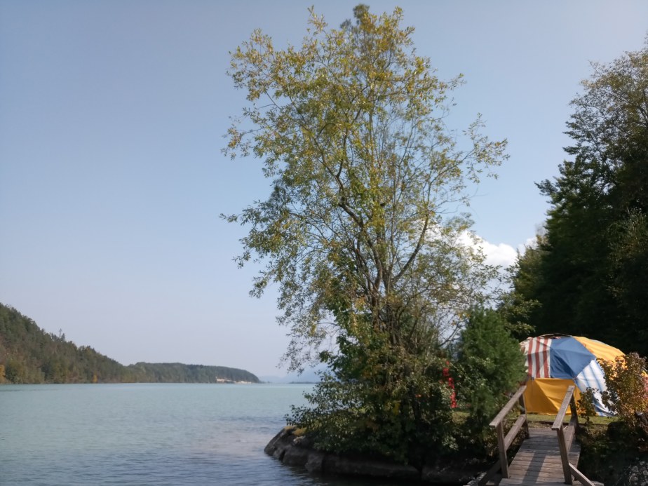 IMG_20190929_084032_313