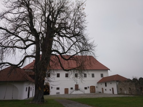 IMG_20191031_153507_6