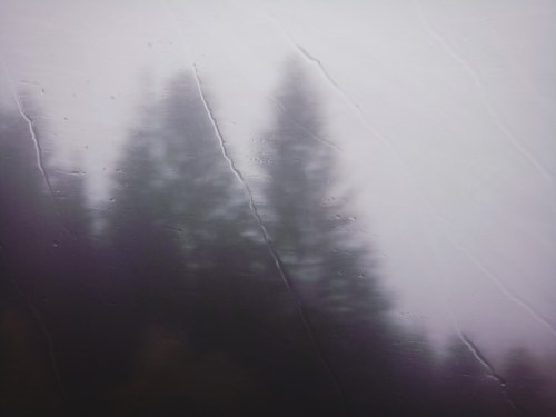 IMG_20191103_154941_414