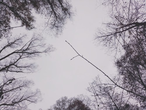 IMG_20191105_162357_383