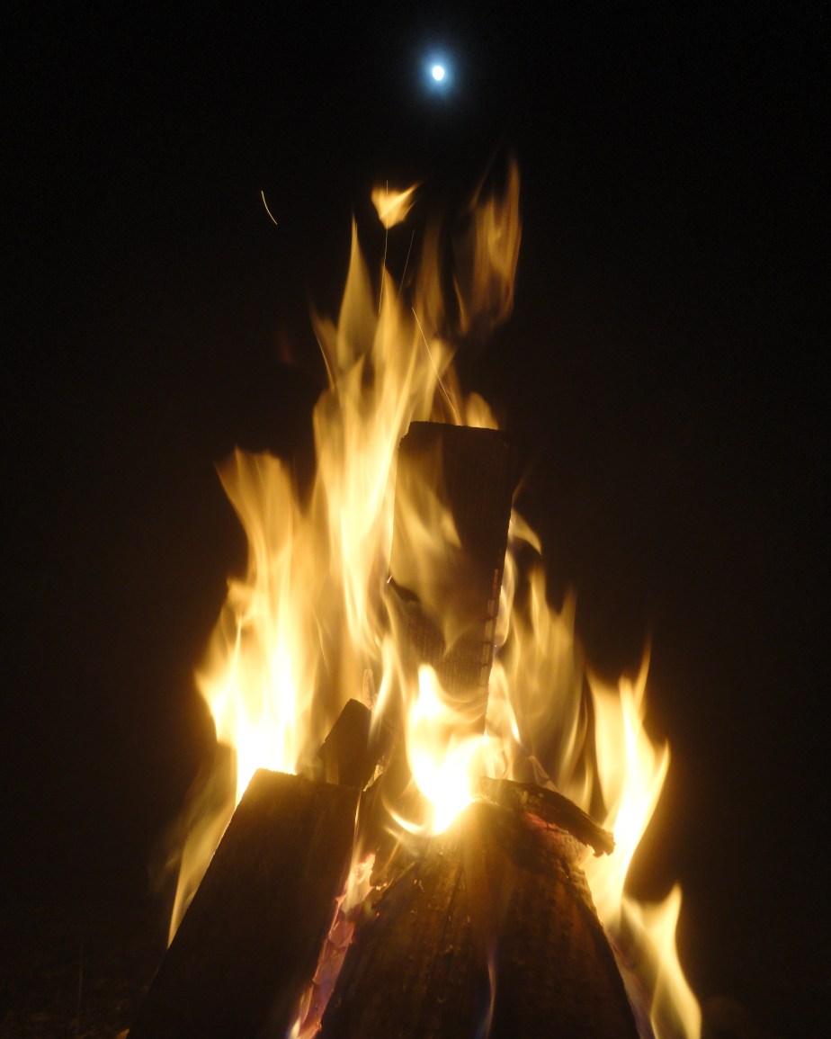 IMG_20200209_150842_141