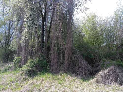 IMG_20200420_203436_614