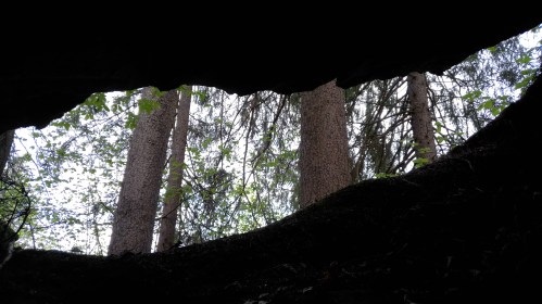 IMG_20190516_102613_8